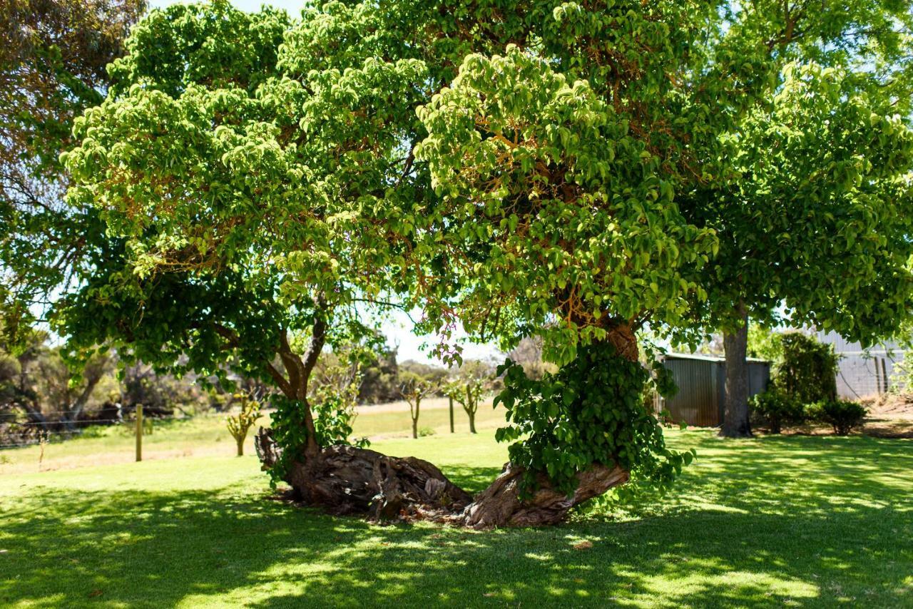 Hostal Fairlawn Estate Busselton Exterior foto