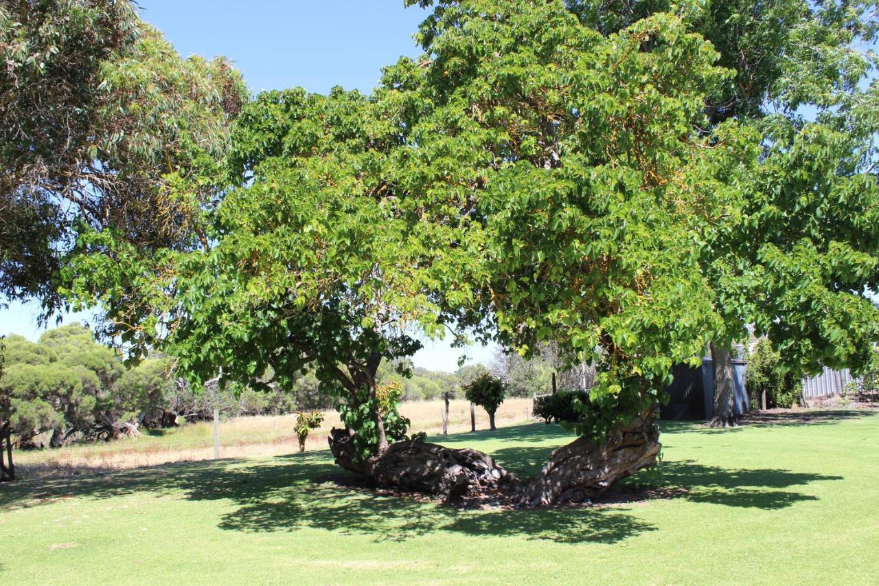 Hostal Fairlawn Estate Busselton Exterior foto